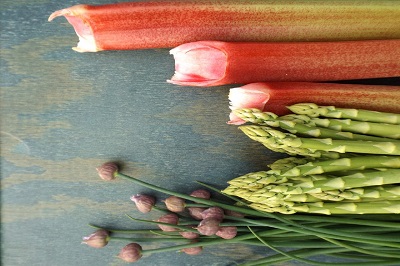 Rhabarber und Spargel