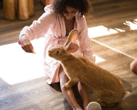 Osterhase in St. Martins