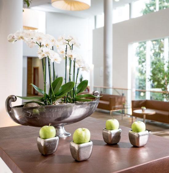 SPA Resort Therme Geinberg
