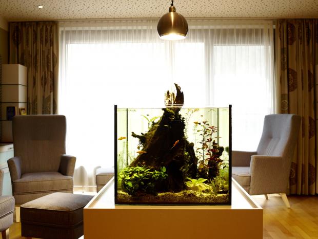 Gesundheits­Zentrum Bad Sauerbrunn