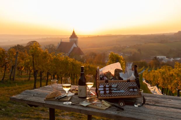 Region Falkenstein Picknick