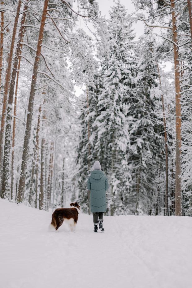 Vitality-Tipp: Nichts wie raus! (C)Pexels Elina Volkova