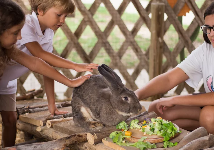 Easter-Family-Adventure